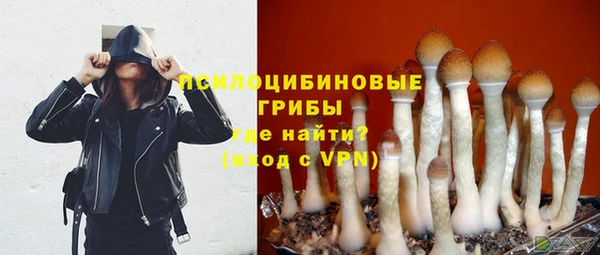альфа пвп Липки