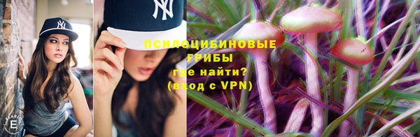 гидропоника Лиски